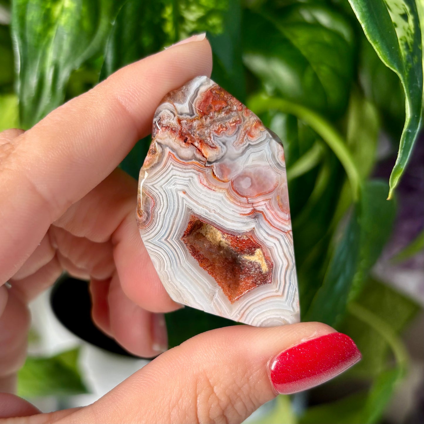 MOROCCAN AGATE FREEFORMS