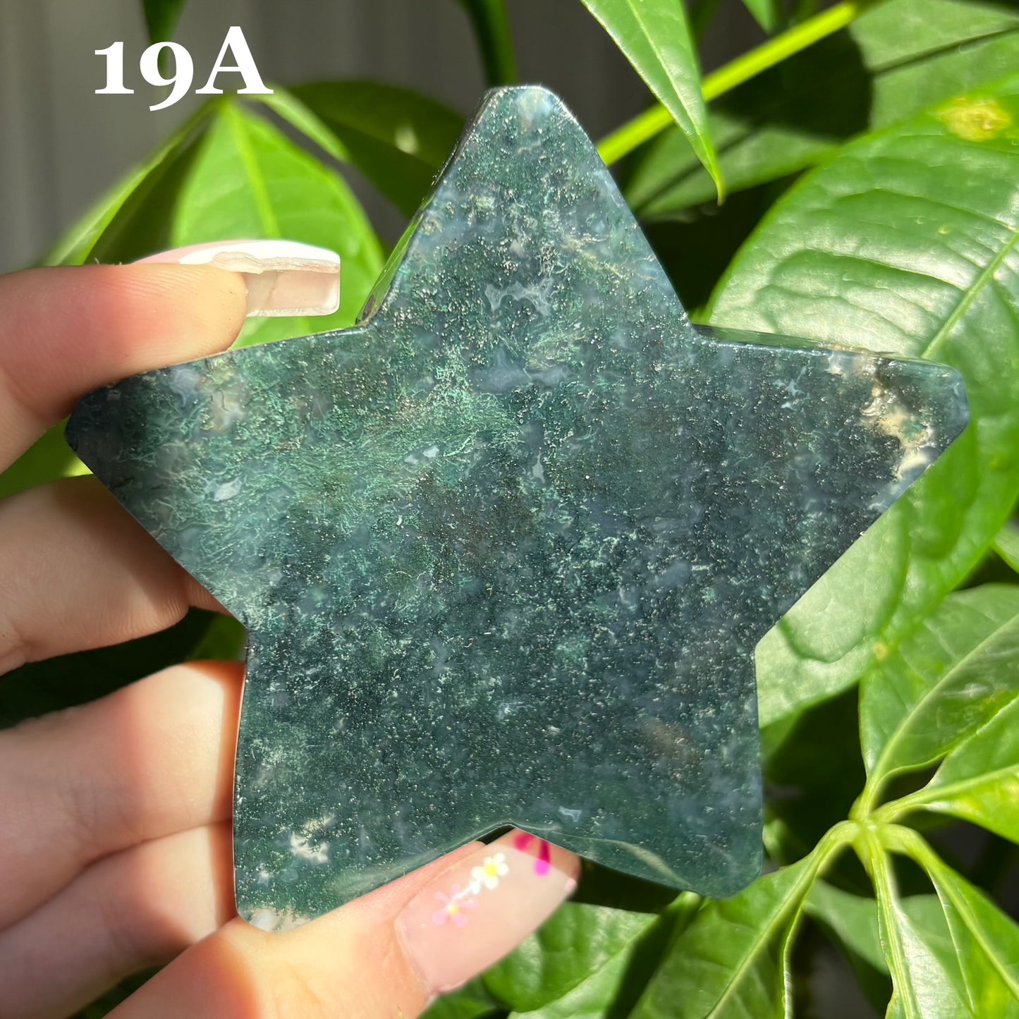 MOSS AGATE STARS