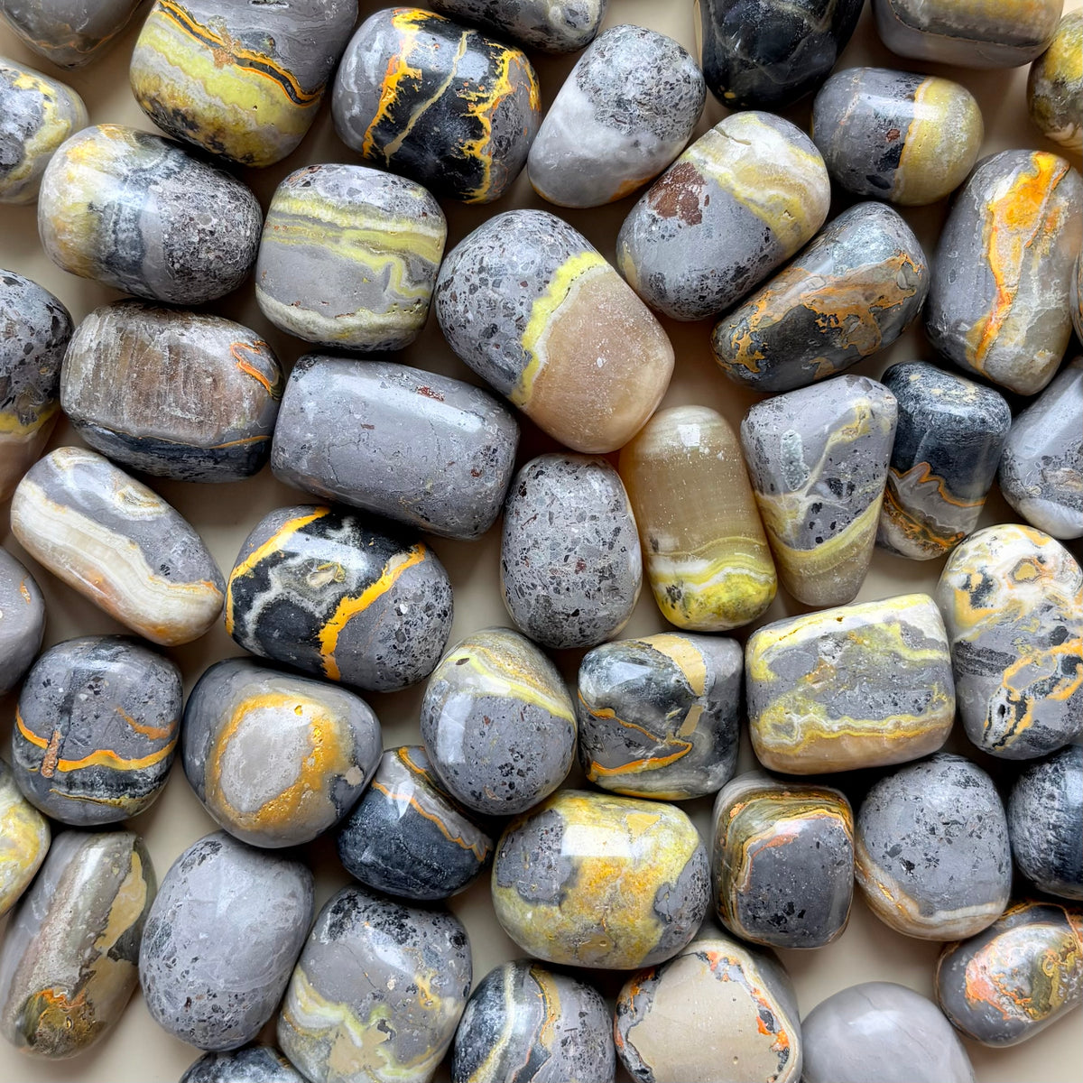 BUMBLEBEE JASPER TUMBLE