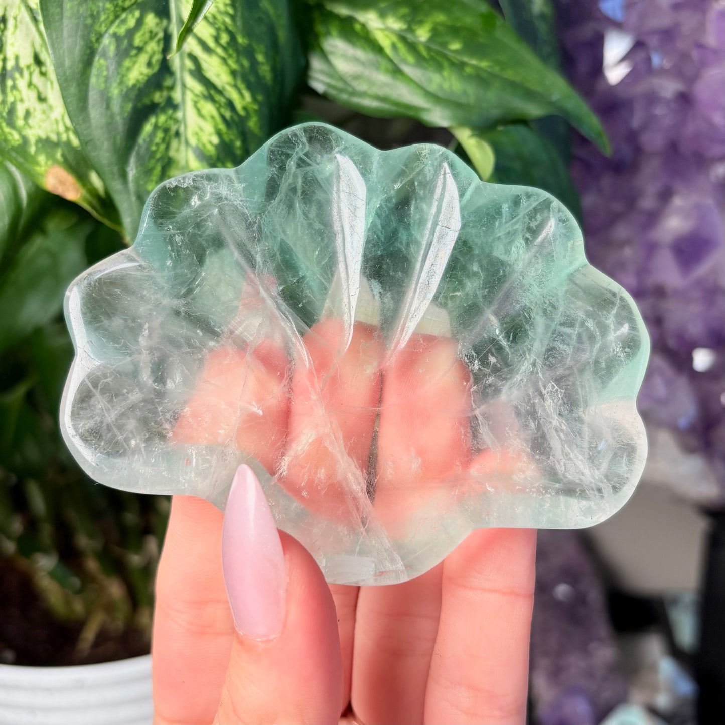 FLUORITE SEASHELL BOWLS