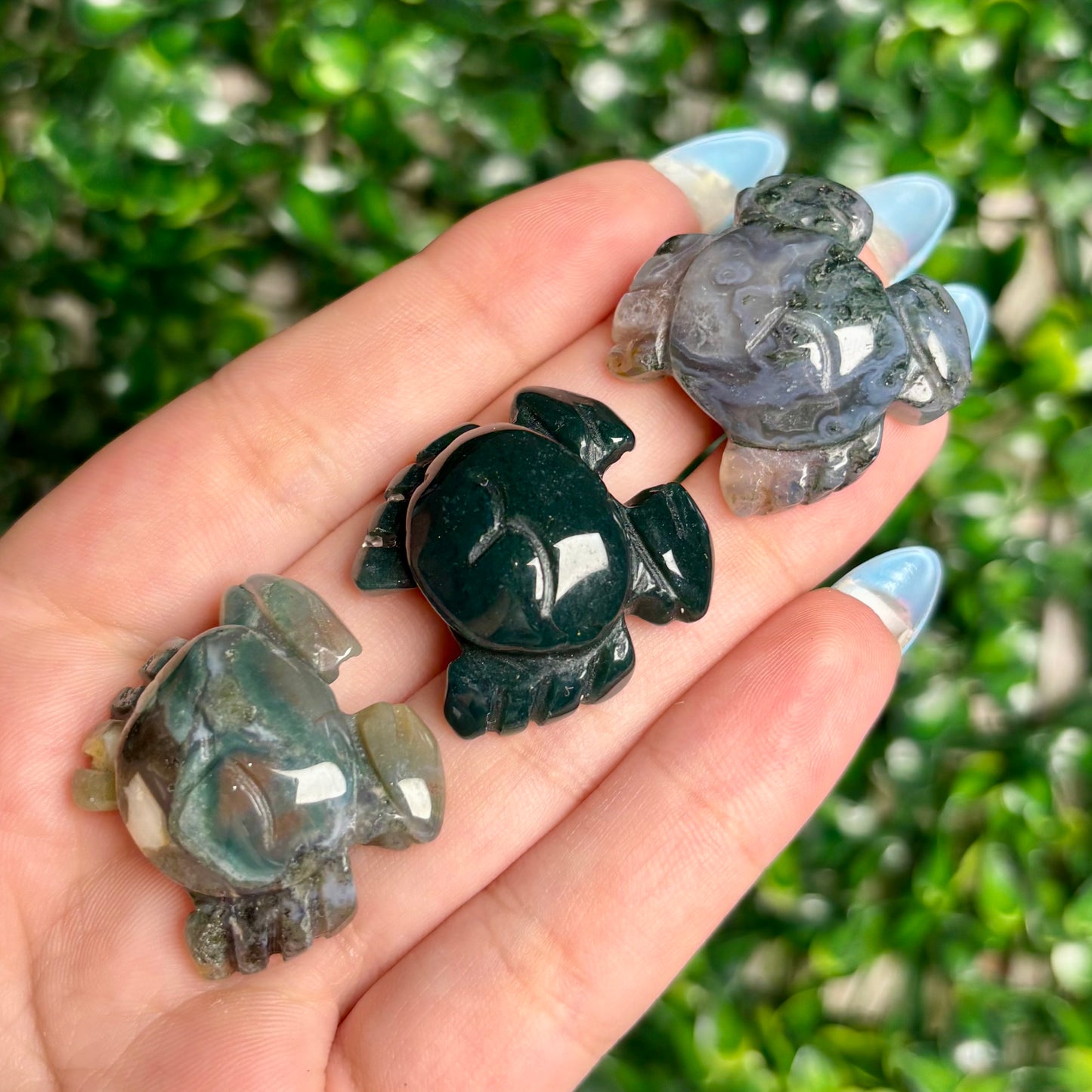 MOSS AGATE CRAB