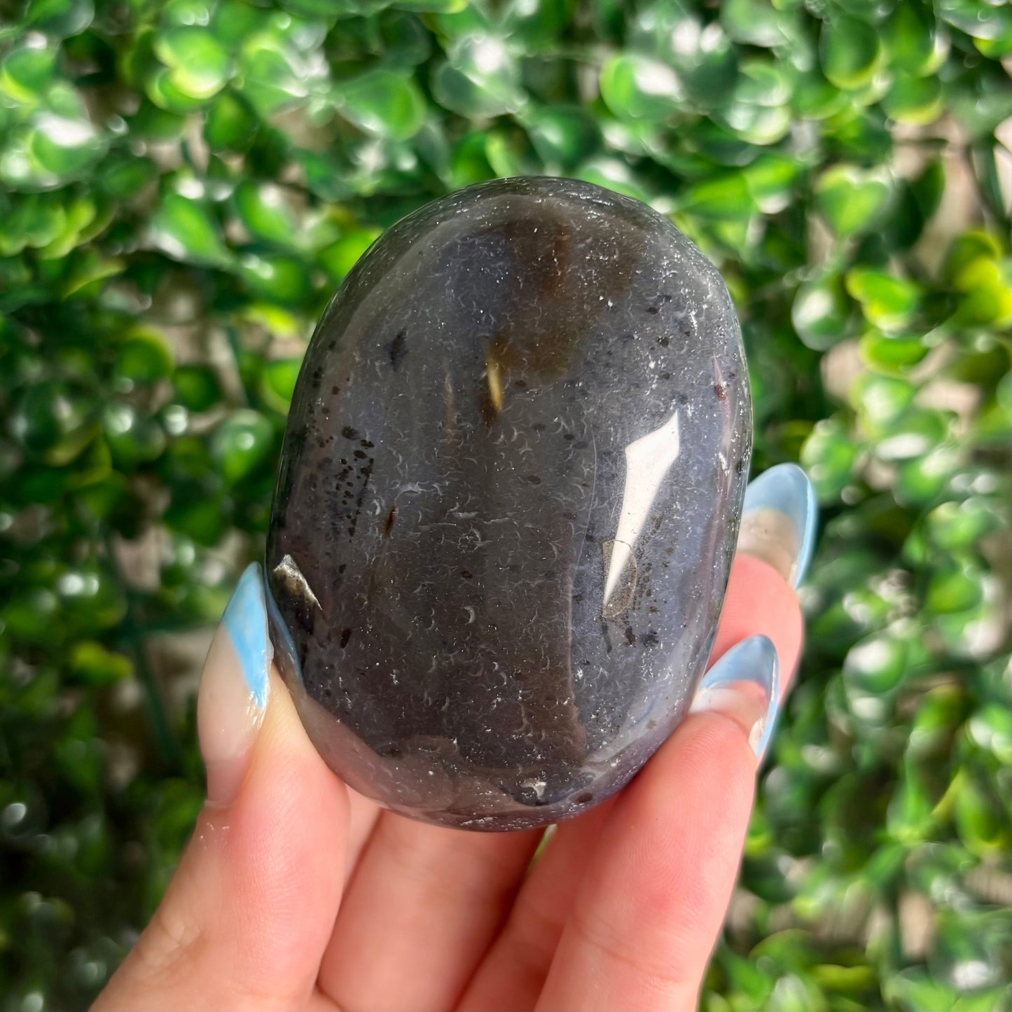 DENDRITIC AGATE PALMSTONES