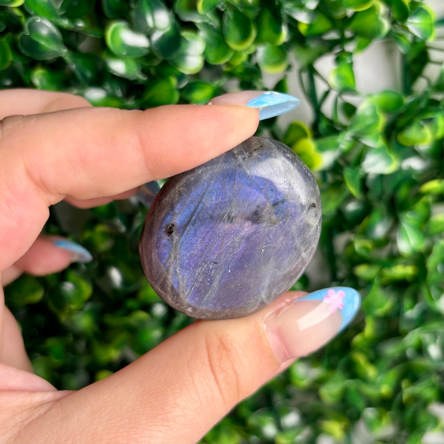 LABRADORITE PALMSTONES