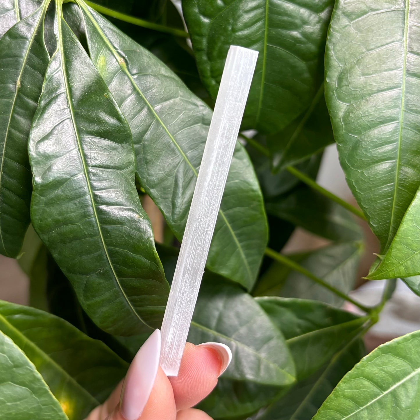 SELENITE STICK