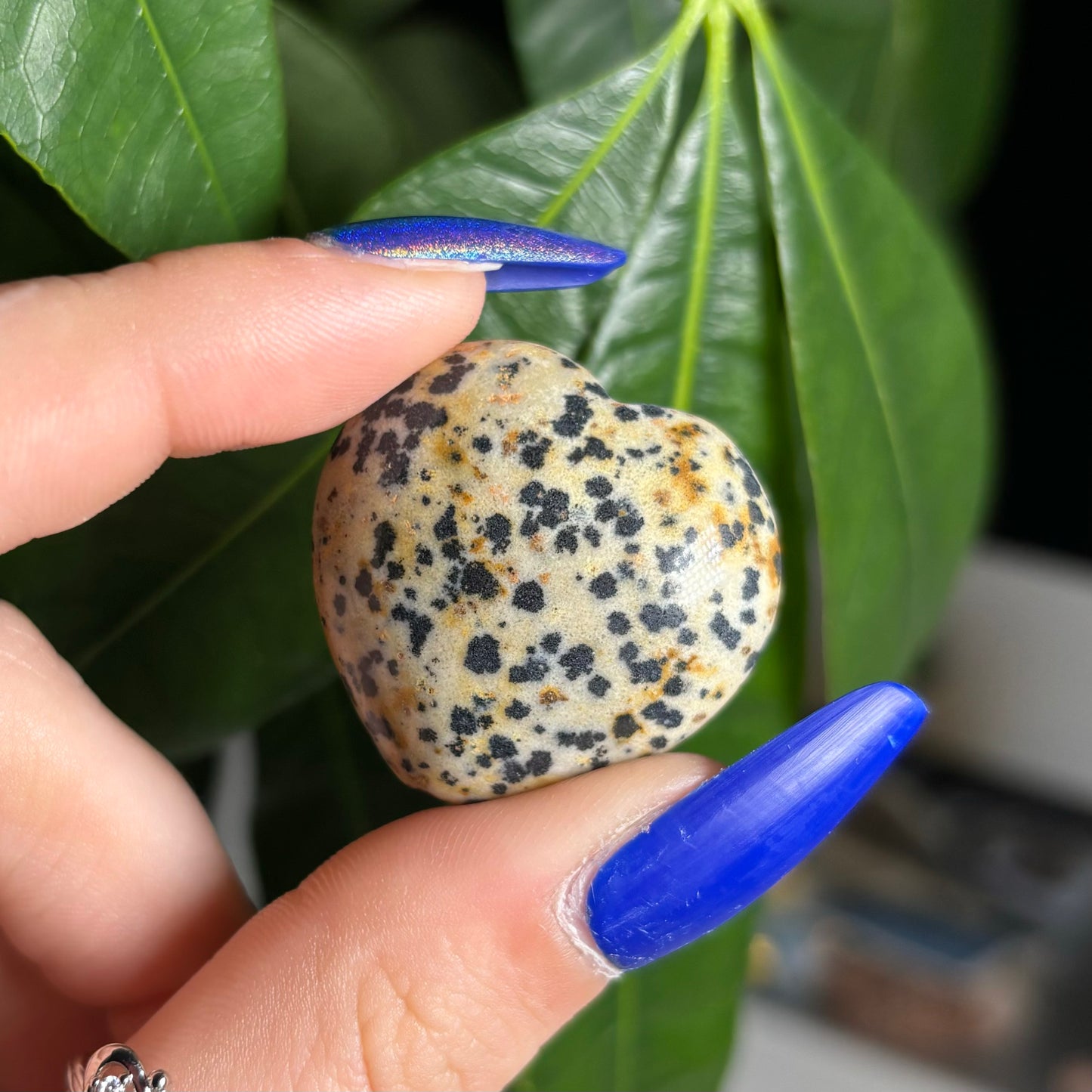 DALMATION JASPER HEARTS