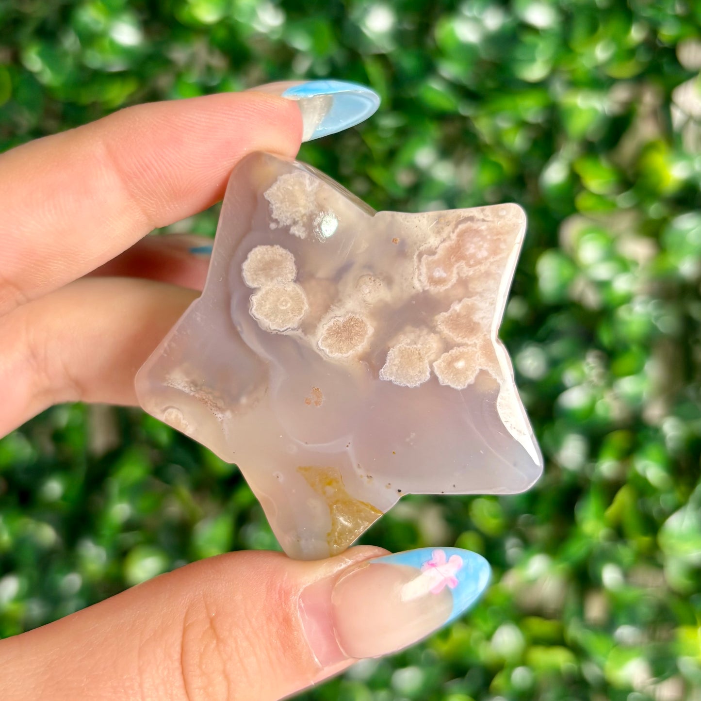 FLOWER AGATE STARS