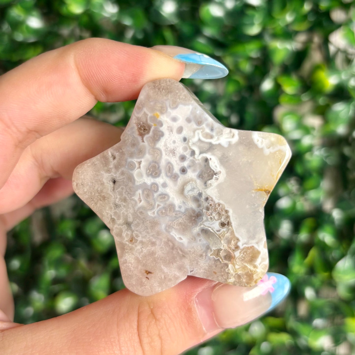 FLOWER AGATE STARS