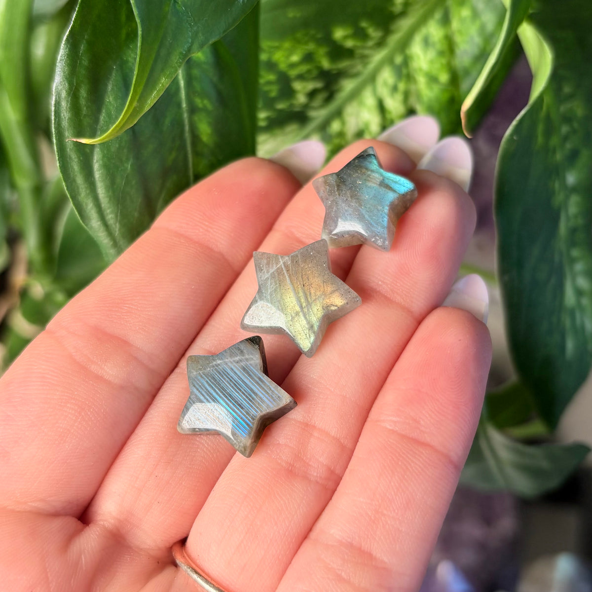 LABRADORITE STAR