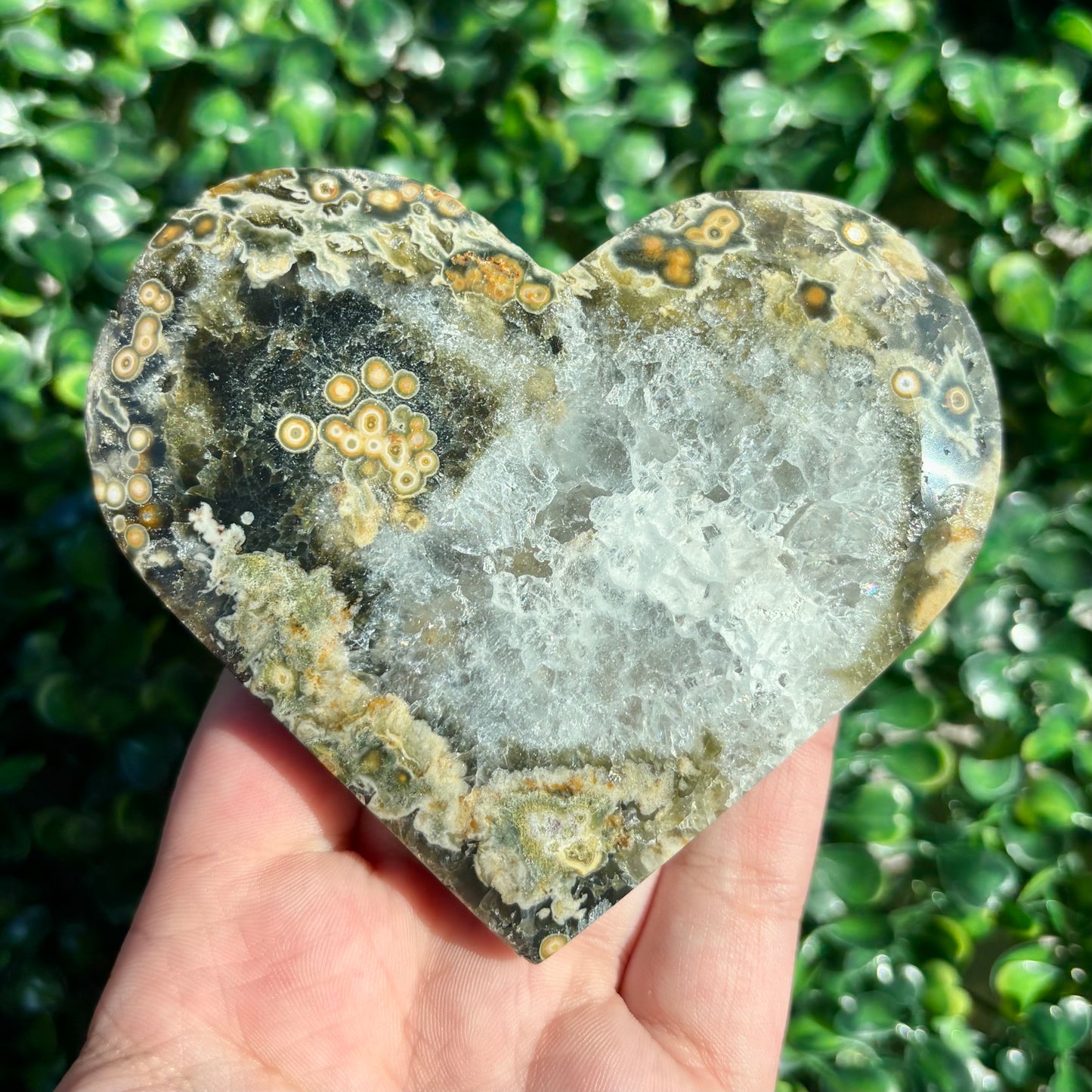 8TH VEIN OCEAN JASPER HEART