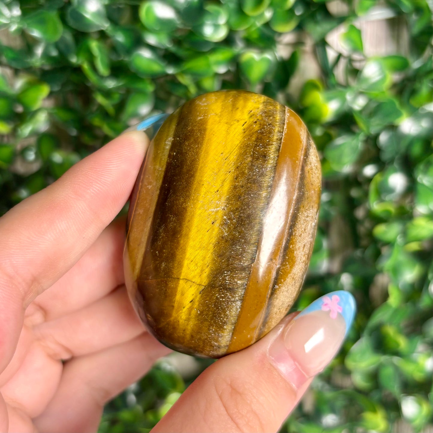 TIGERS EYE PALMSTONES