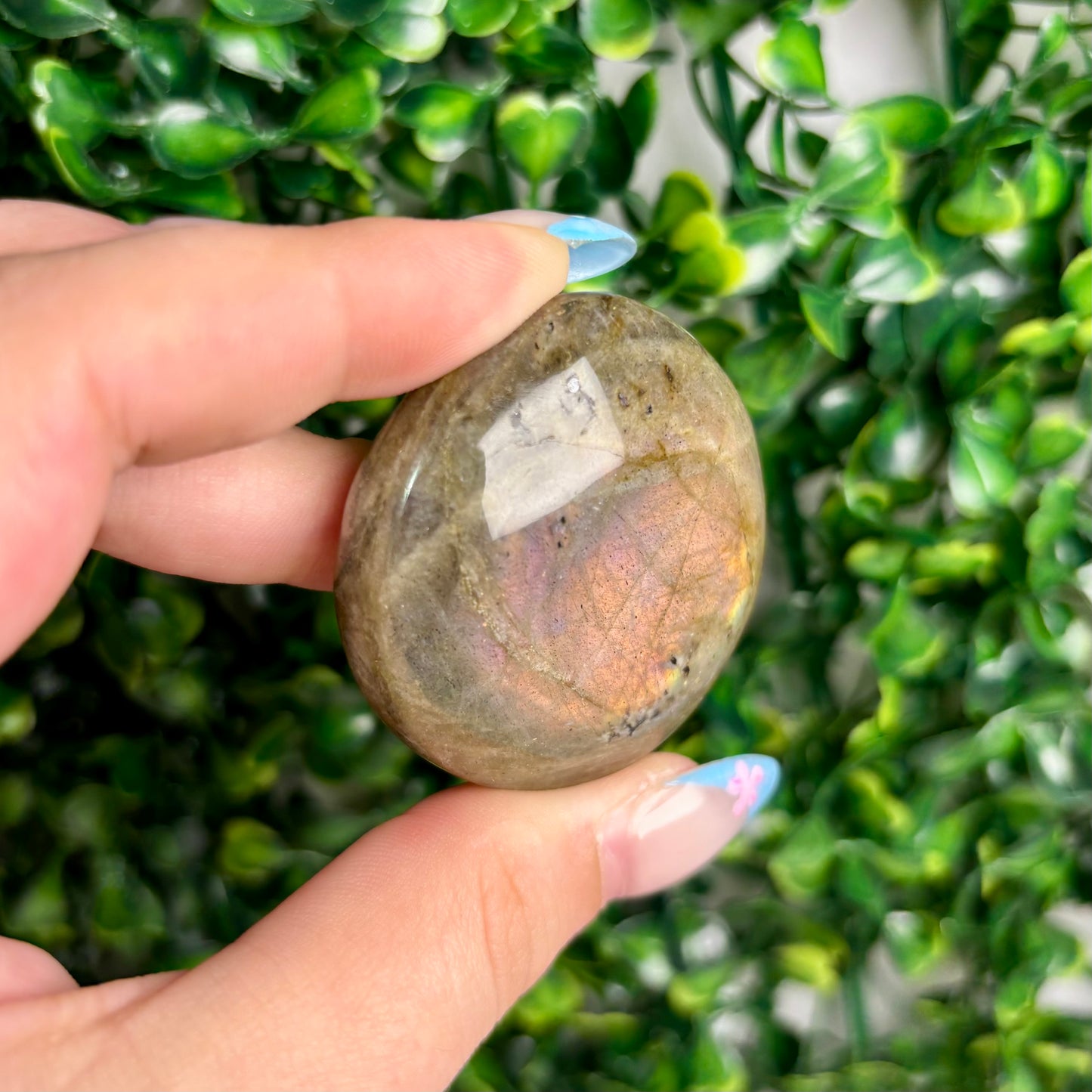 LABRADORITE PALMSTONES
