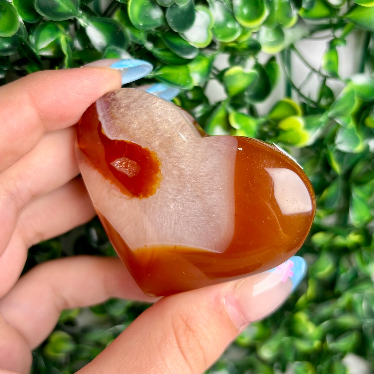 CARNELIAN HEARTS