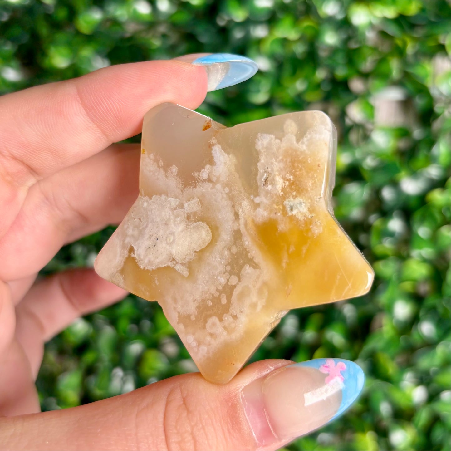 FLOWER AGATE STARS