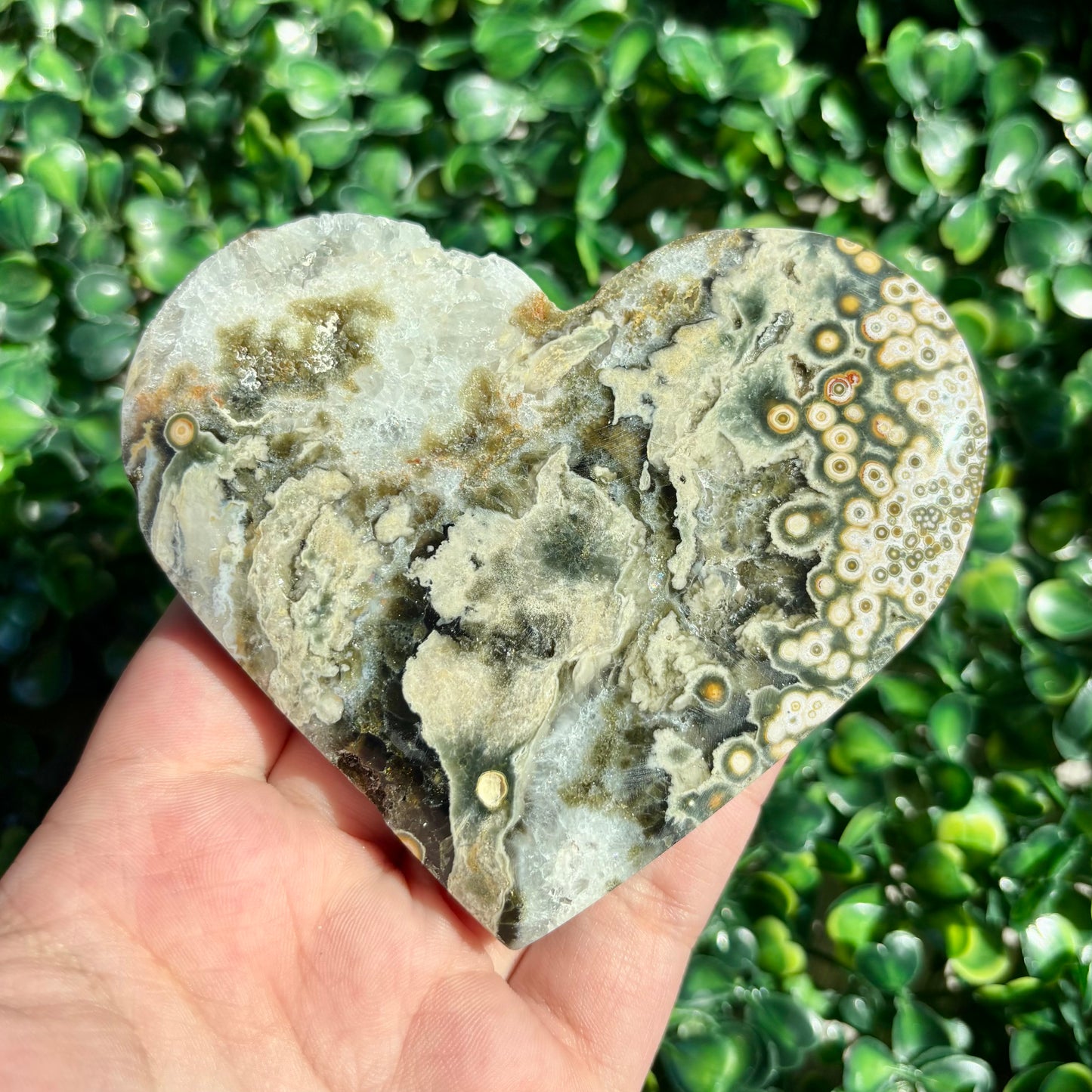 8TH VEIN OCEAN JASPER HEART