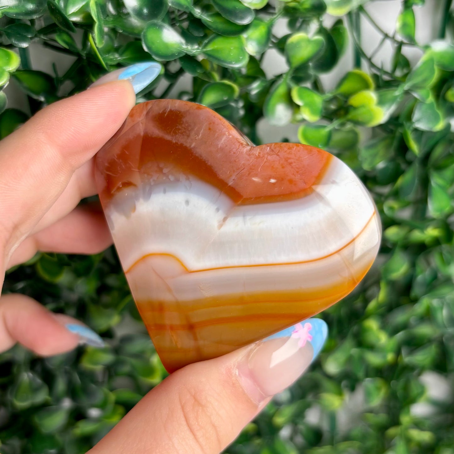 CARNELIAN HEARTS