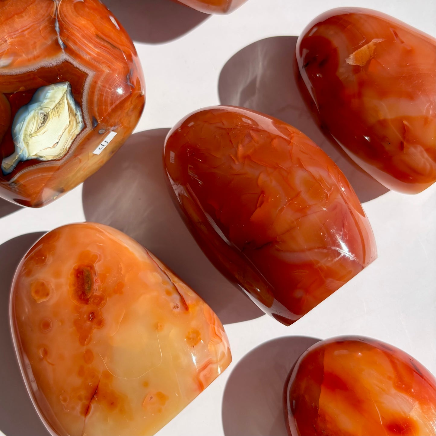 CARNELIAN FREEFORMS