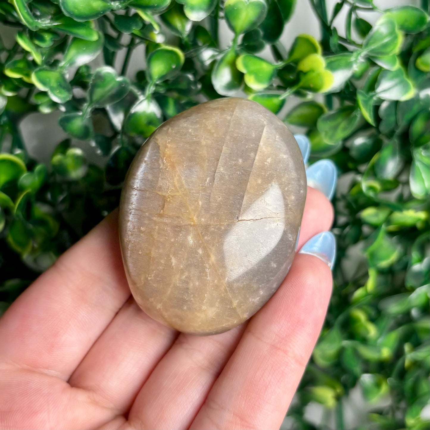 SUNSTONE/MOONSTONE PALMSTONES