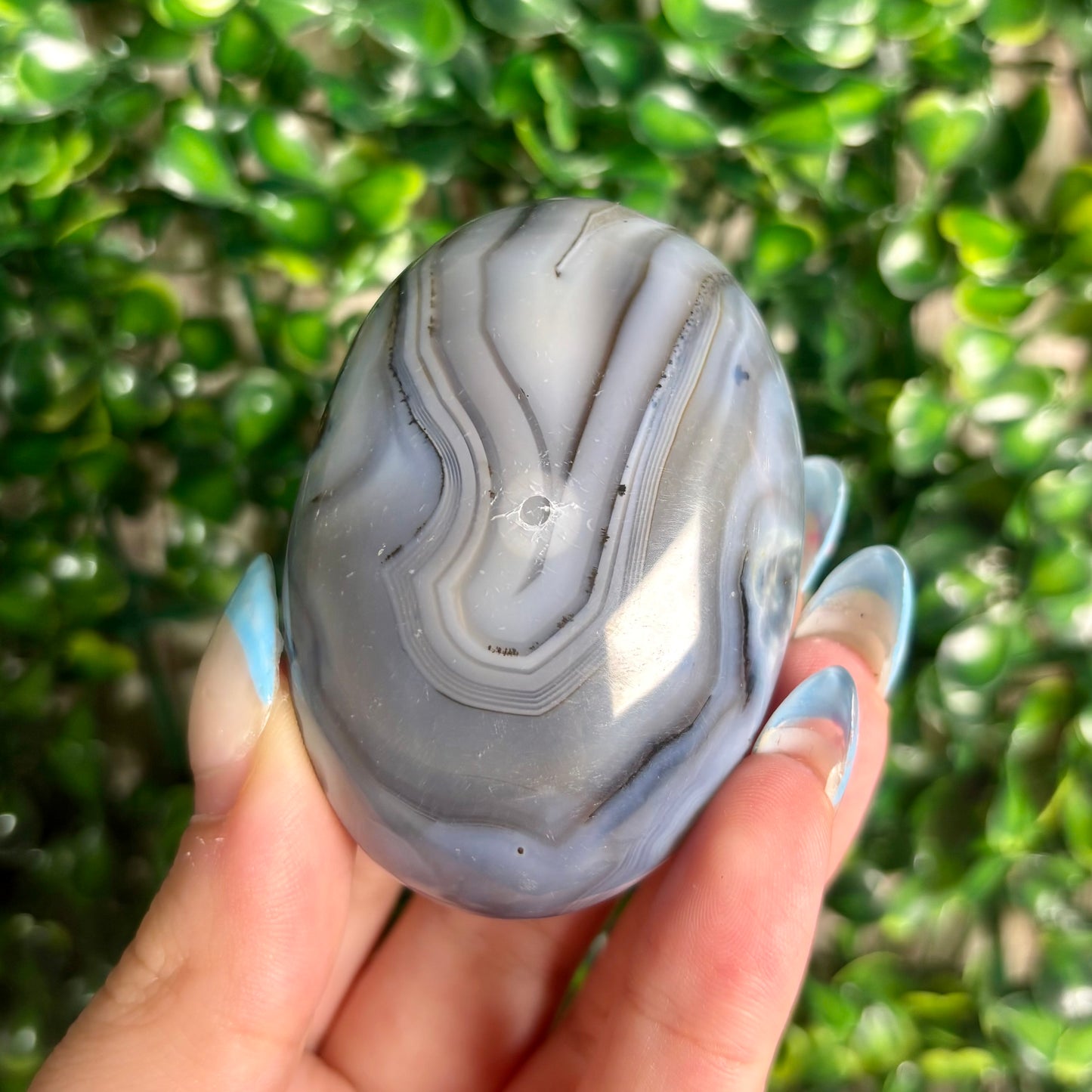 DENDRITIC AGATE PALMSTONES