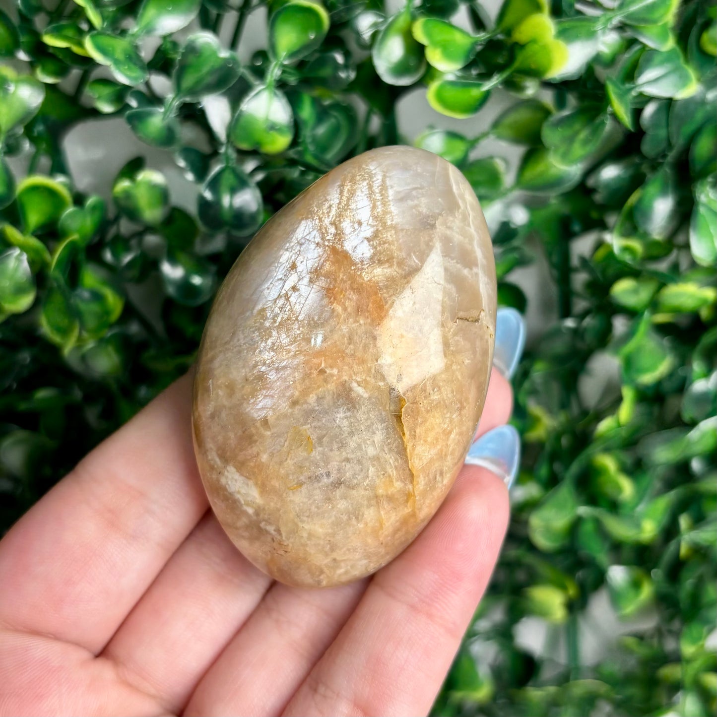 SUNSTONE/MOONSTONE PALMSTONES