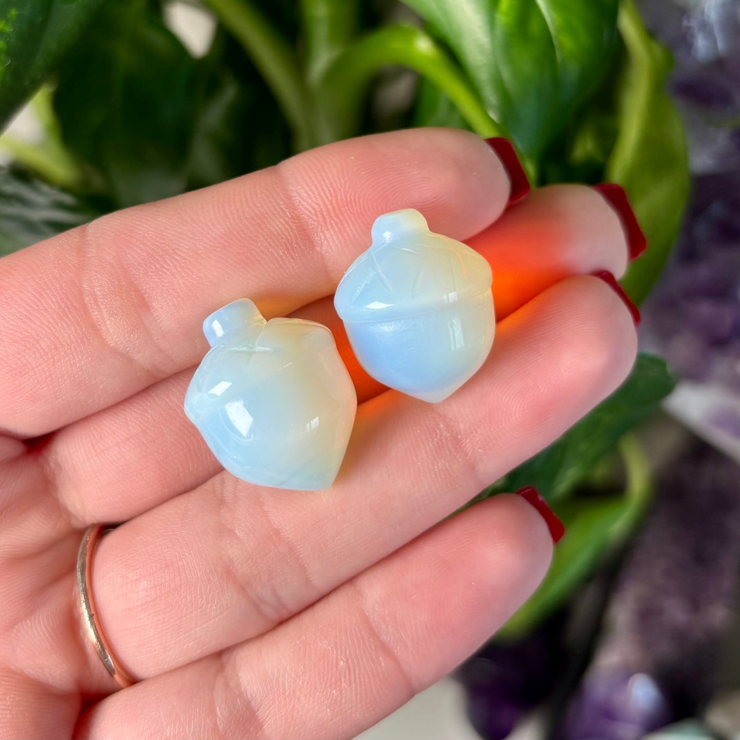 OPALITE ACORN