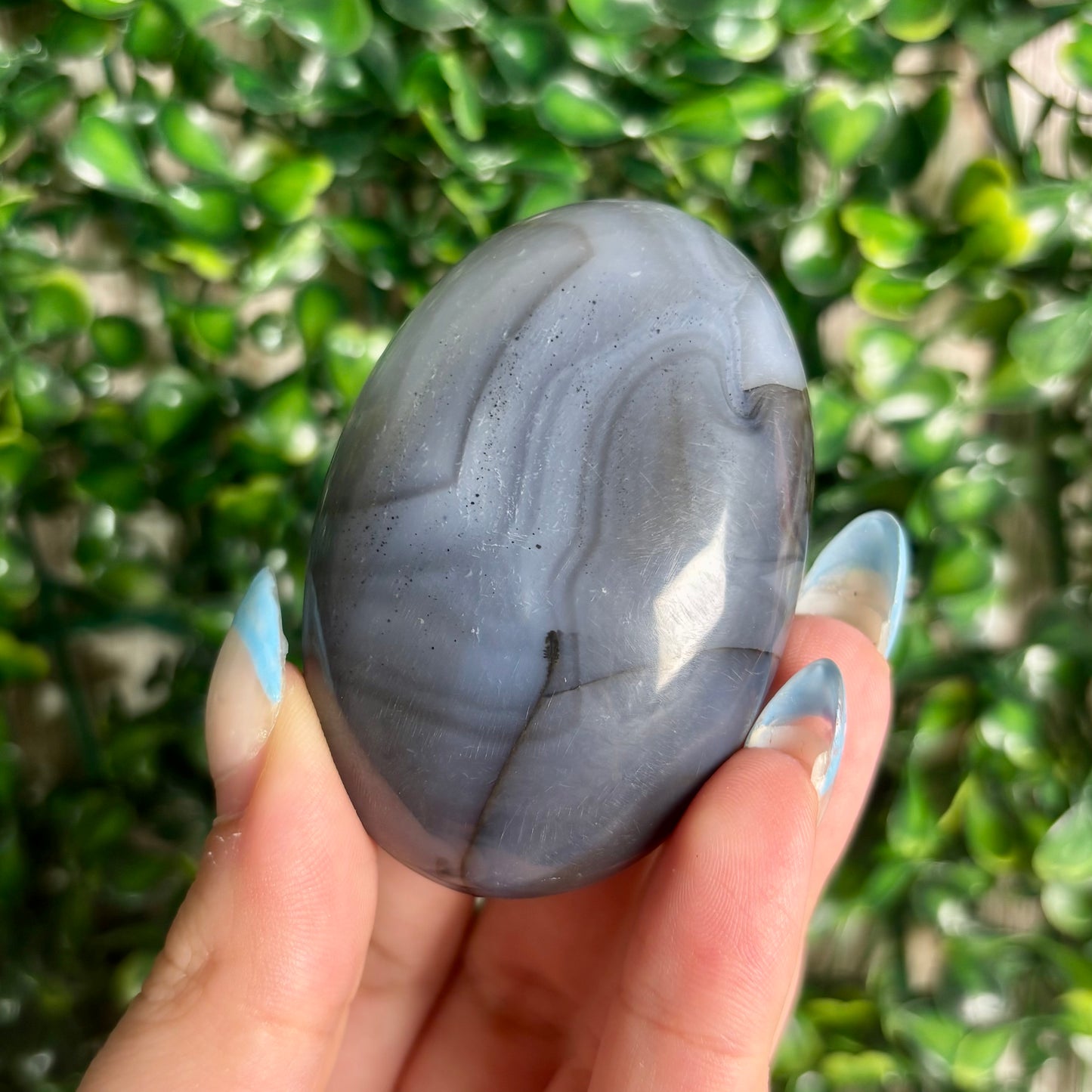 DENDRITIC AGATE PALMSTONES