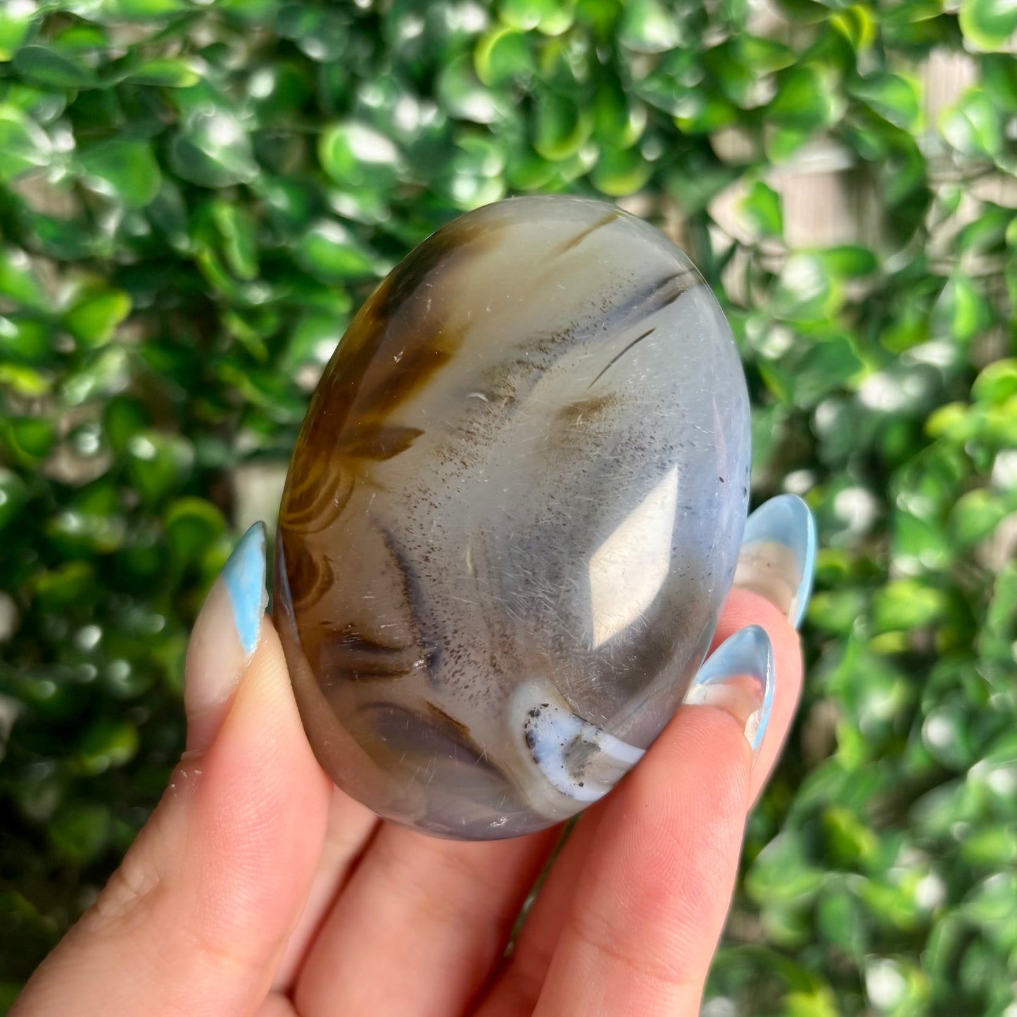 DENDRITIC AGATE PALMSTONES