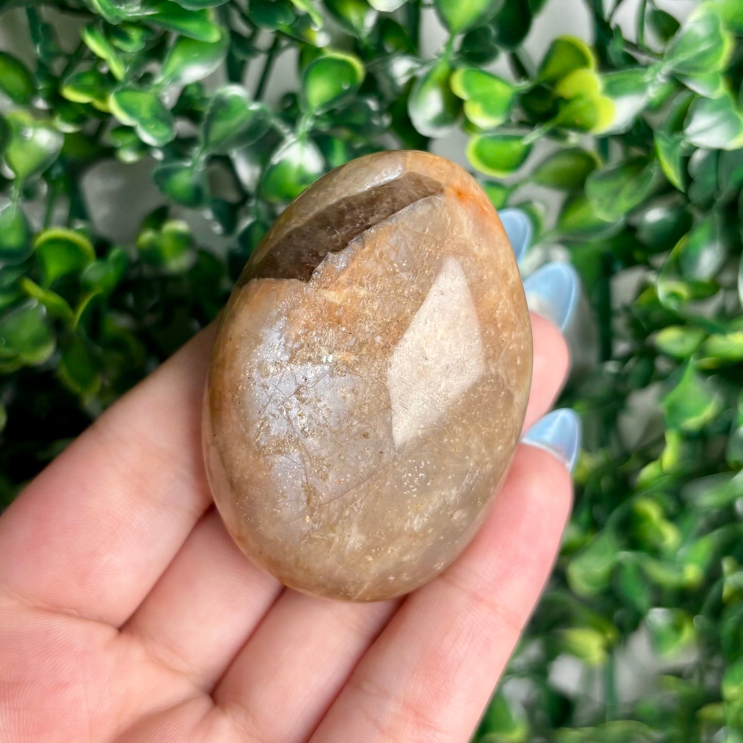 SUNSTONE/MOONSTONE PALMSTONES
