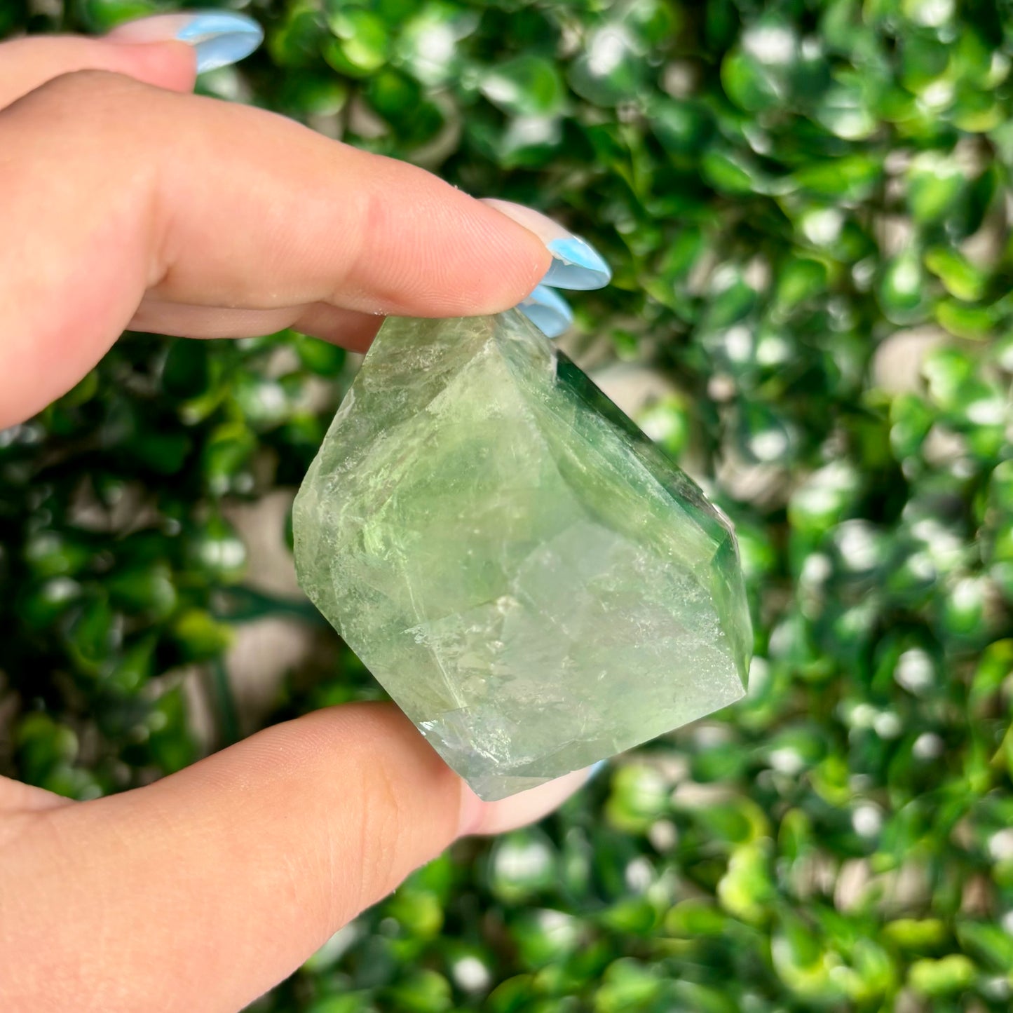 FLUORITE GUSHERS (MISFIT)