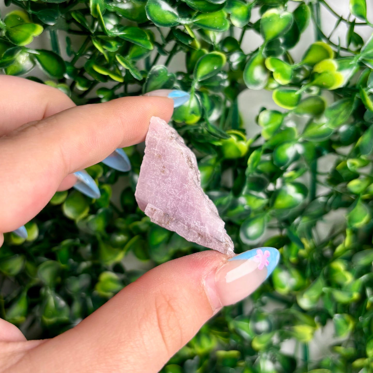 RAW KUNZITE