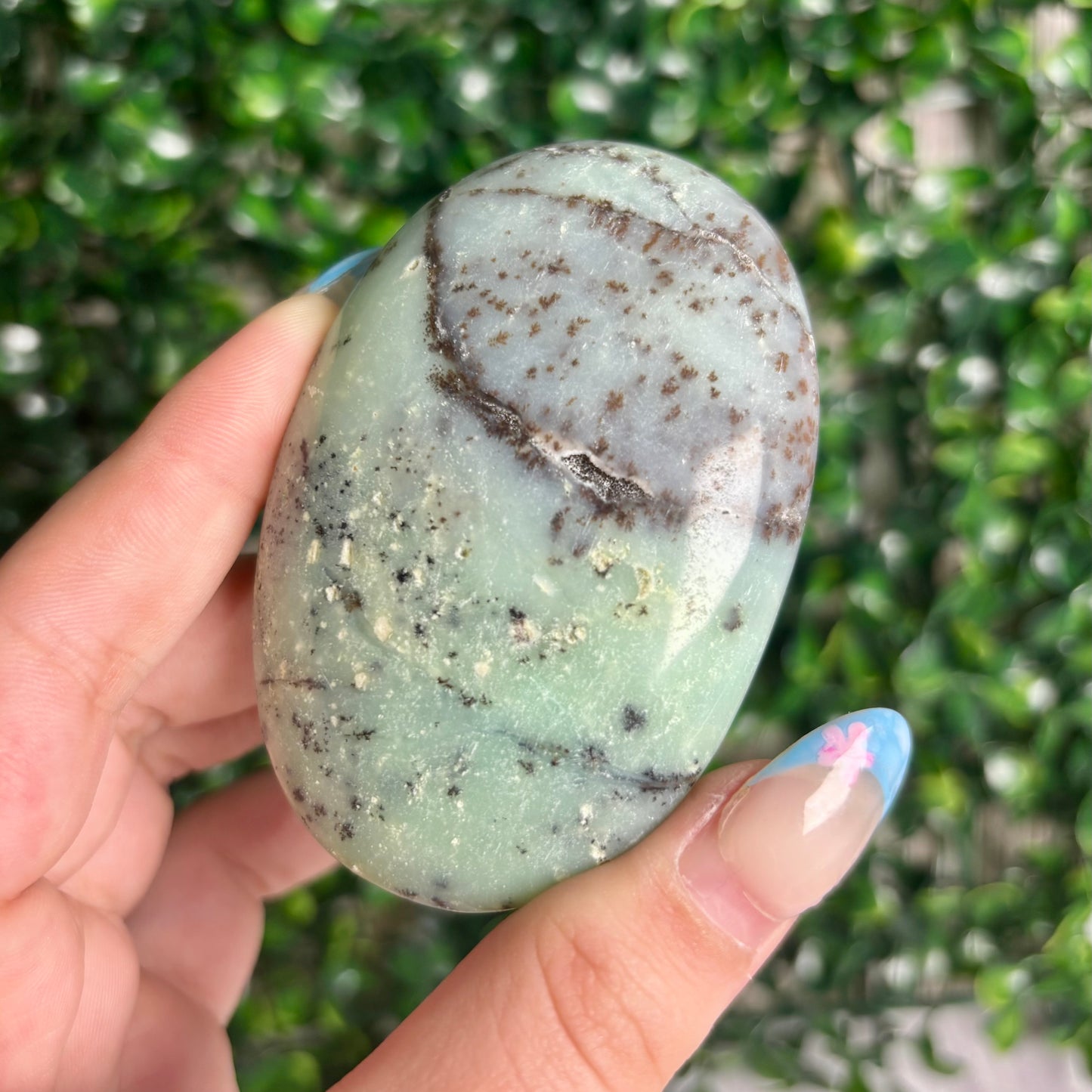 GREEN CHRYSOPASE PALMSTONES