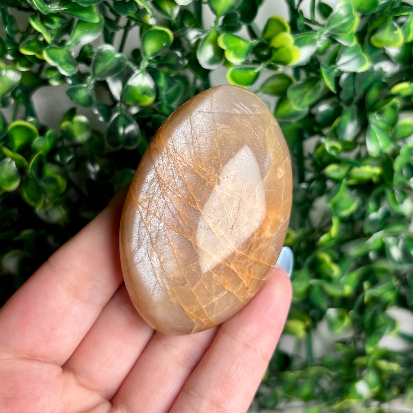 SUNSTONE/MOONSTONE PALMSTONES