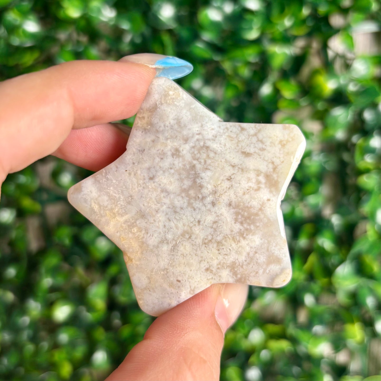 FLOWER AGATE STARS