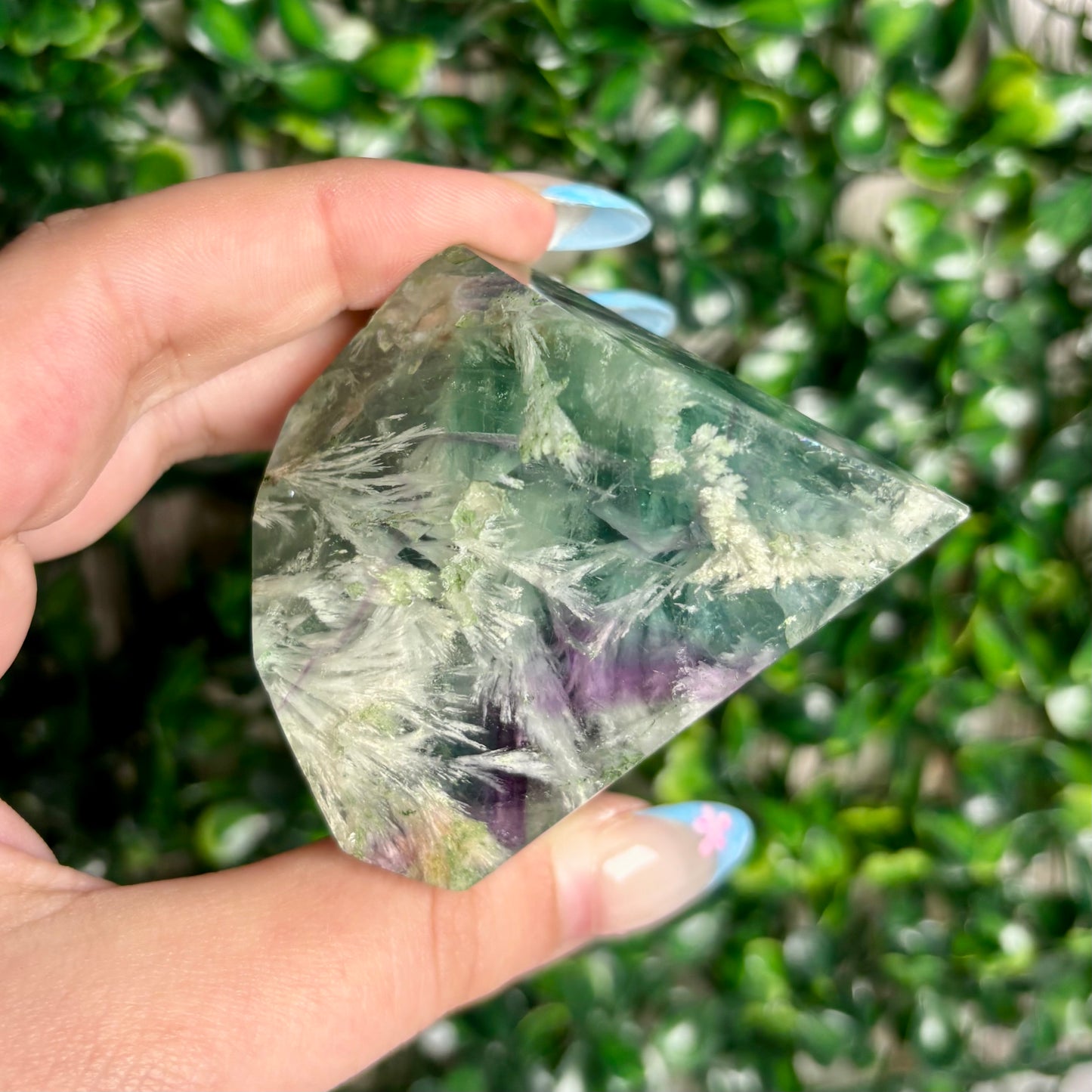 FLUORITE GUSHERS (MISFIT)
