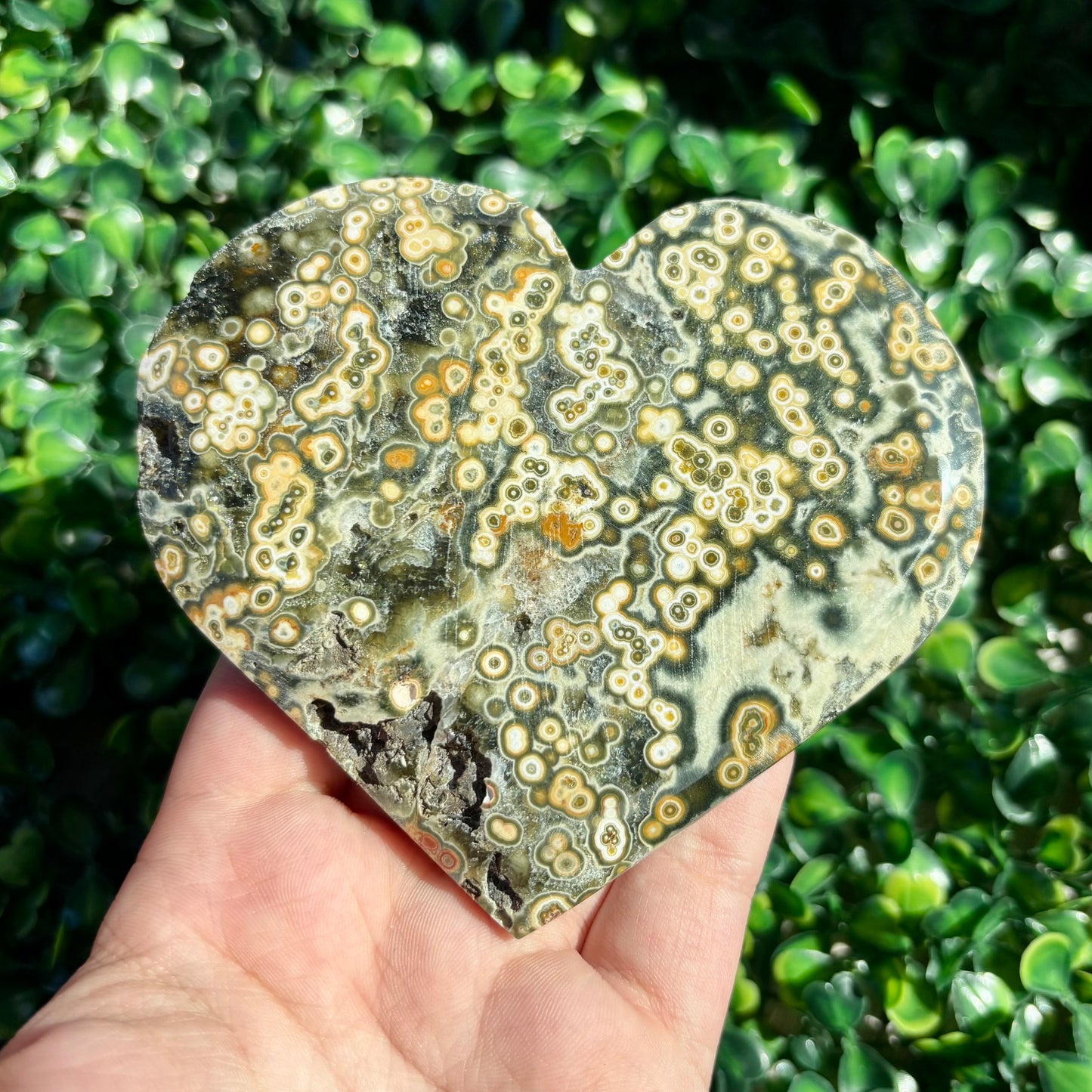 8TH VEIN OCEAN JASPER HEART