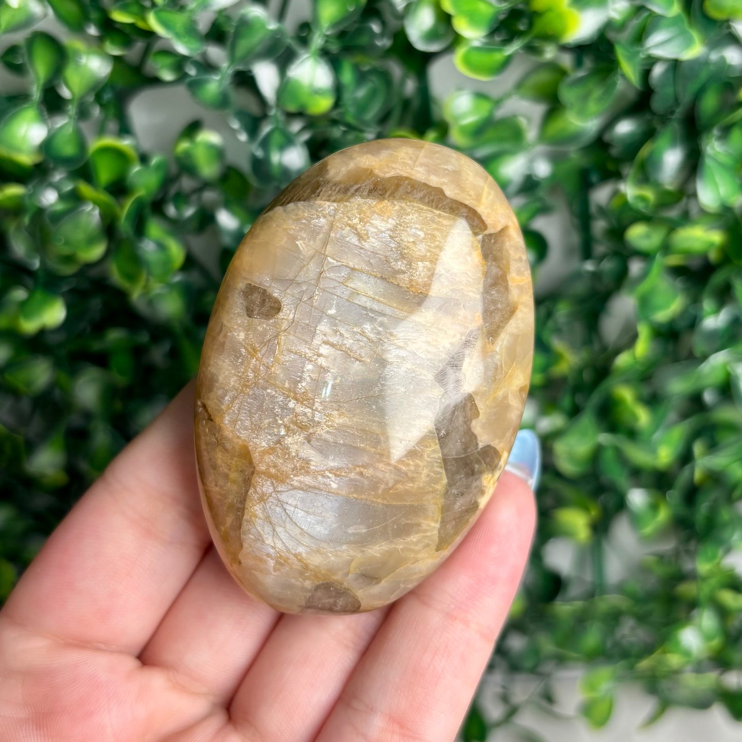SUNSTONE/MOONSTONE PALMSTONES