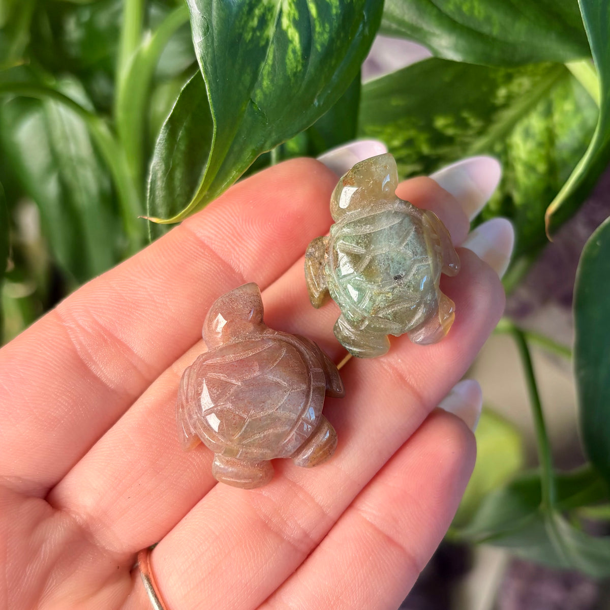 MOSS AGATE TURTLE