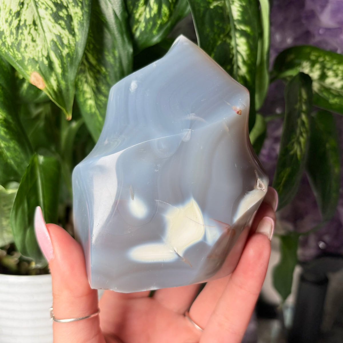 ORCA AGATE FLAMES