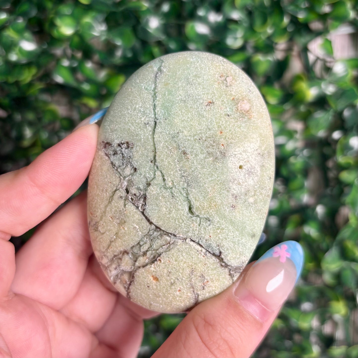GREEN CHRYSOPASE PALMSTONES