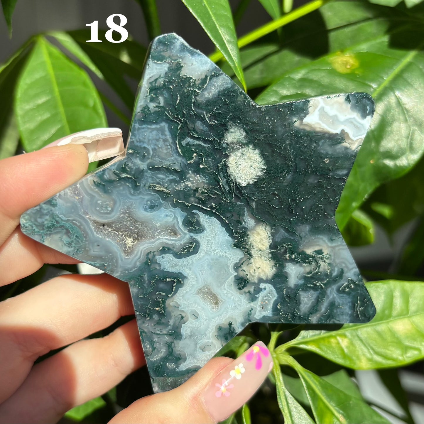MOSS AGATE STARS