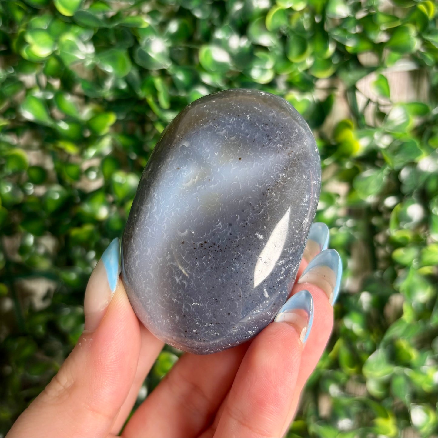DENDRITIC AGATE PALMSTONES