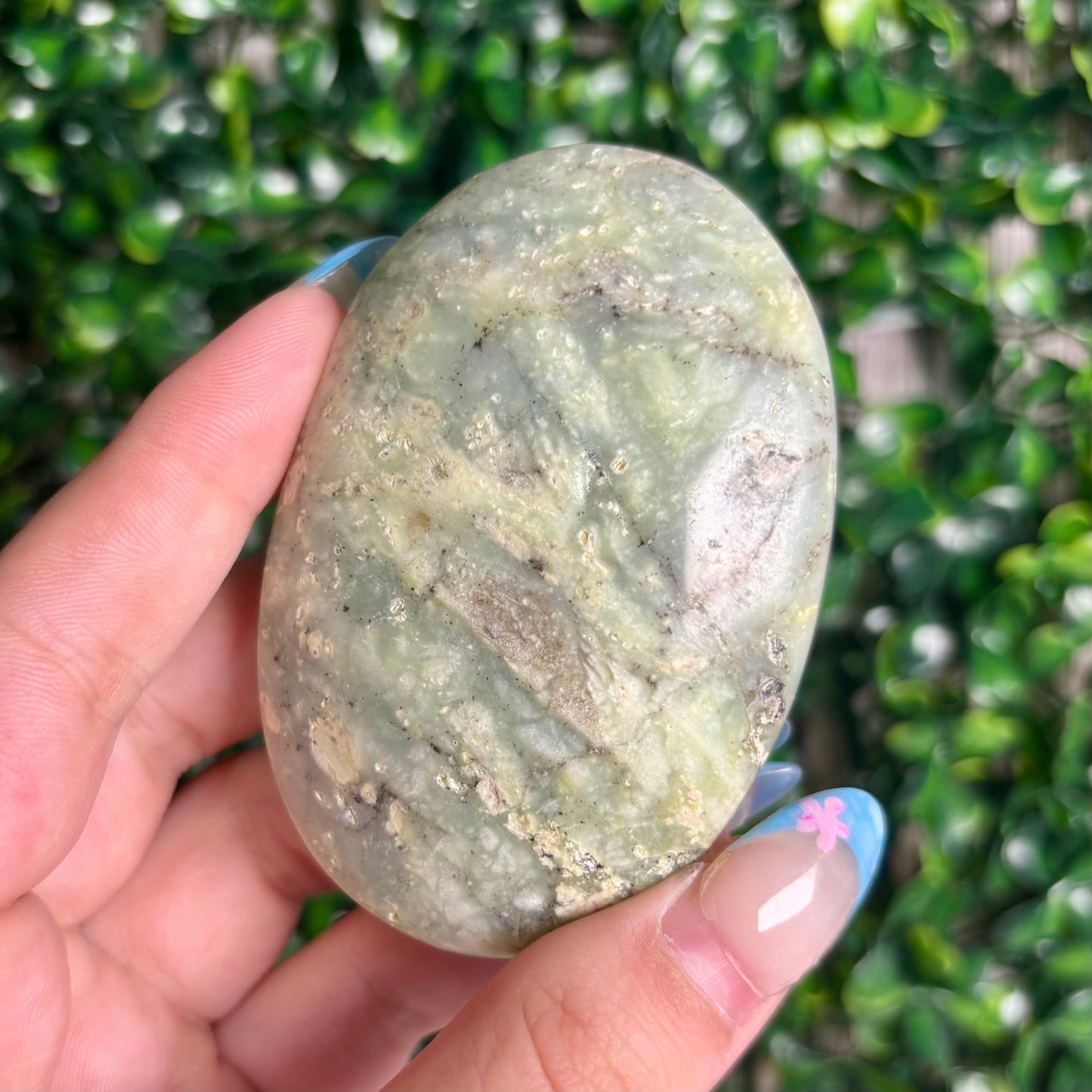 GREEN CHRYSOPASE PALMSTONES