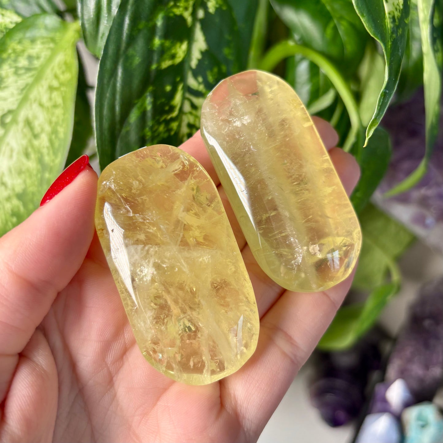 CITRINE PALMSTONES