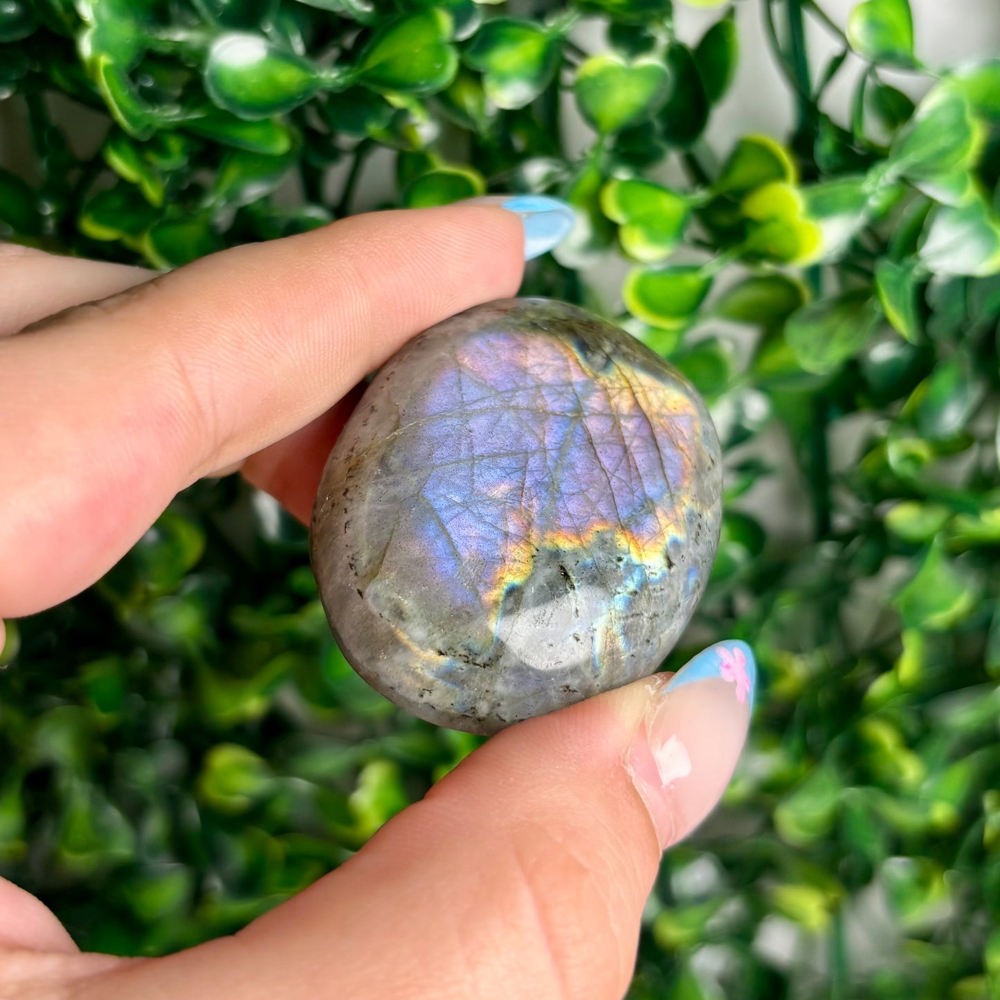 LABRADORITE PALMSTONES