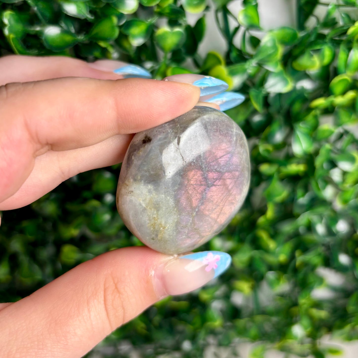 LABRADORITE PALMSTONES