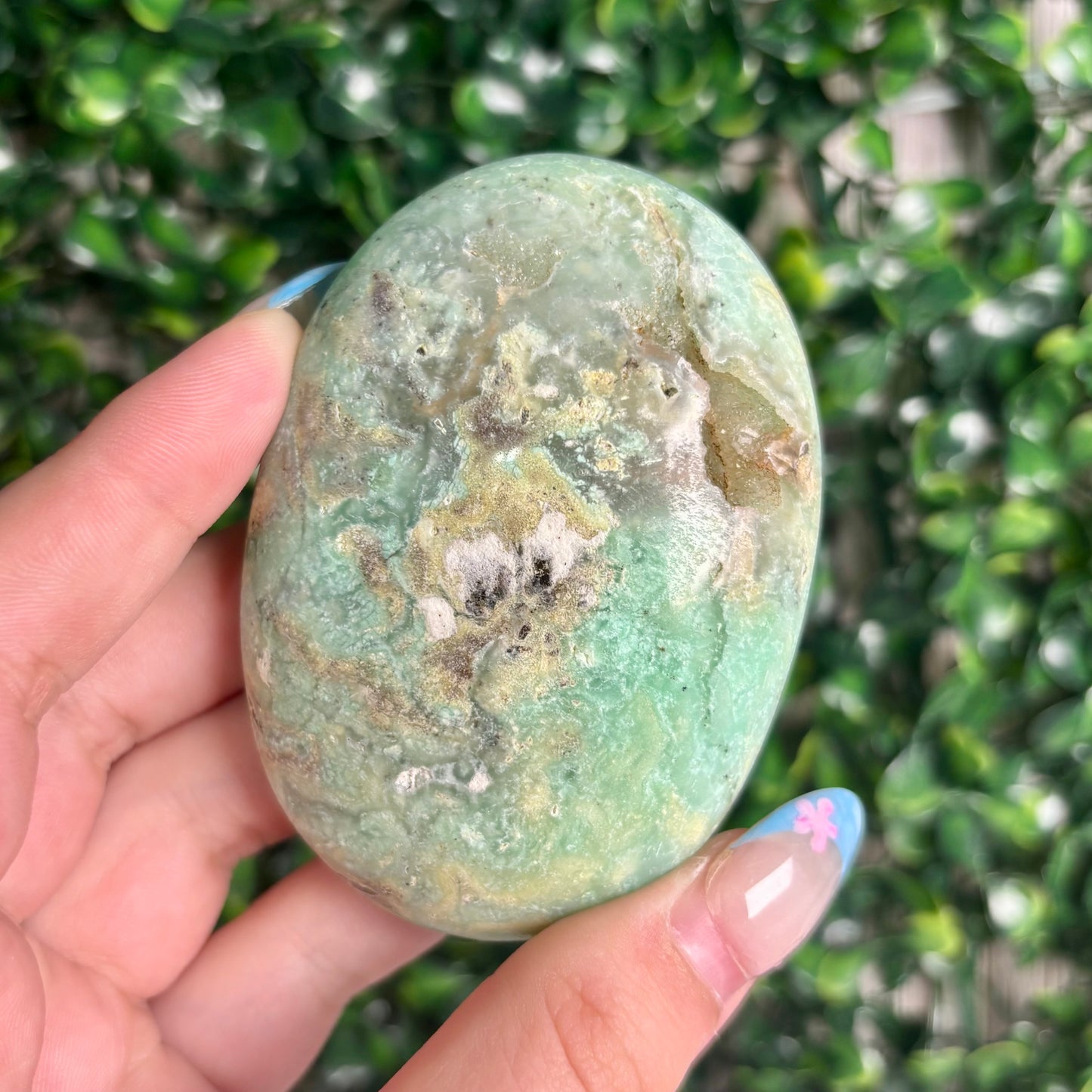 GREEN CHRYSOPASE PALMSTONES