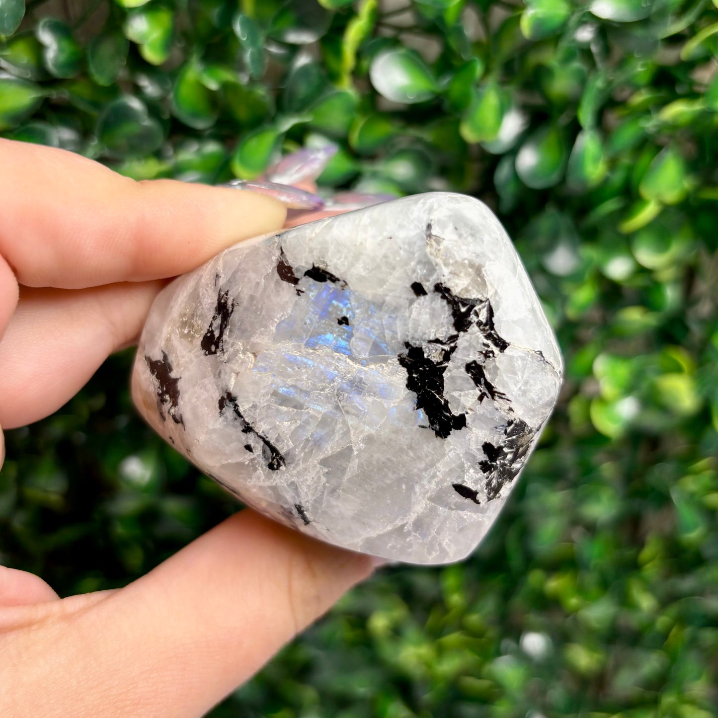 RAINBOW MOONSTONE GUSHERS