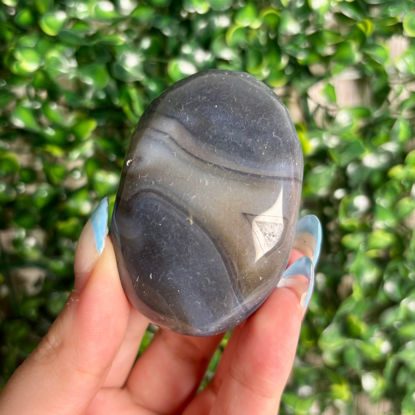 DENDRITIC AGATE PALMSTONES