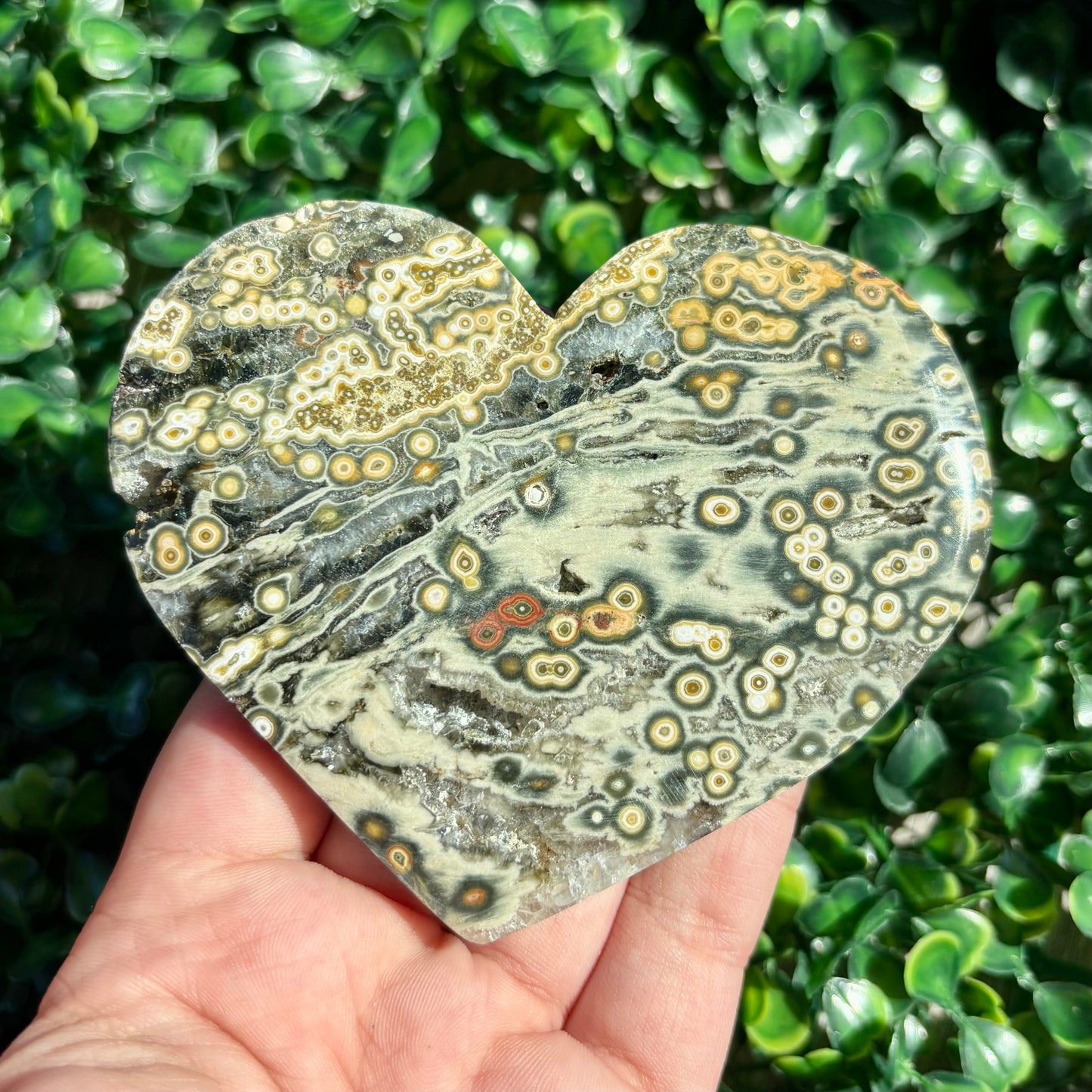 8TH VEIN OCEAN JASPER HEART
