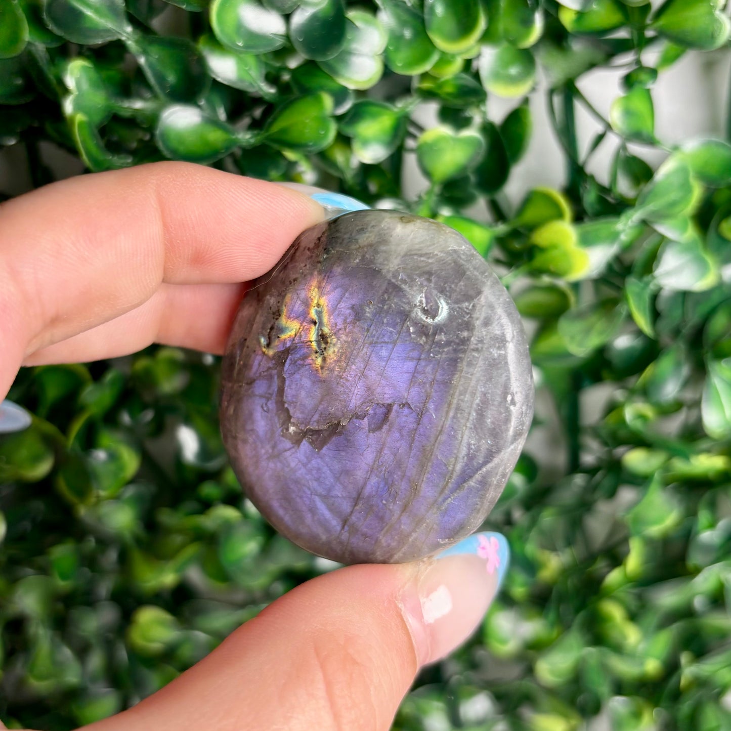 LABRADORITE PALMSTONES