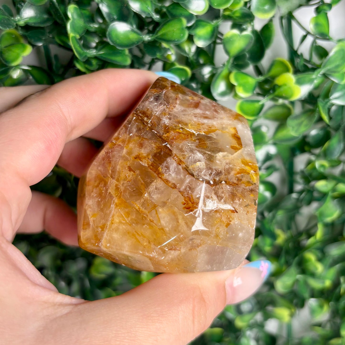 GOLDEN HEALER GUSHERS